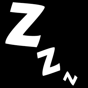 zzzletmesleep加速器