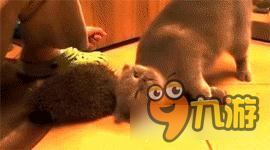 猫和刺猬的故事 劲舞时代手游可爱动物饰品