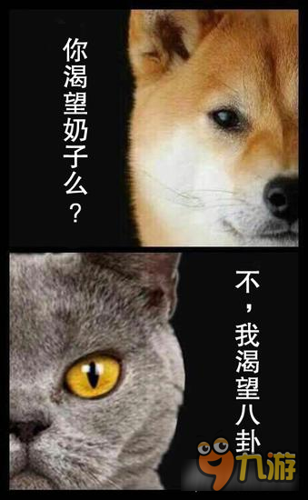 梦幻西游手游最大的难题 游戏现实傻傻分不清