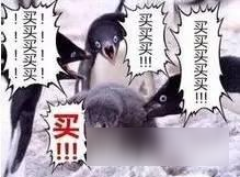 全民突击一周大爆炸第17期 双十一过后不吃土