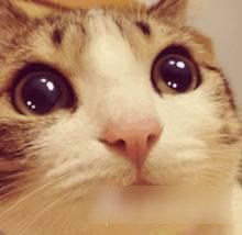 全民突击一周大爆炸第17期 双十一过后不吃土