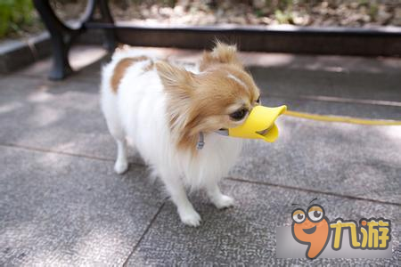 坦克连：科普下二战时期“真实”的故事 不好笑