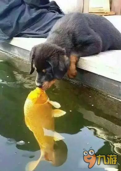 神曲之符文英雄污言以怼第十期:这个小姐姐的裙子我是撩定了!