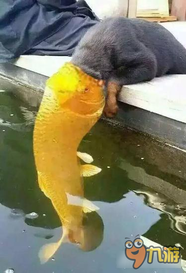 神曲之符文英雄污言以怼第十期:这个小姐姐的裙子我是撩定了!