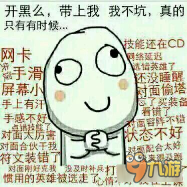 王者荣耀斗图表情包第二十五期 霸者级别辅助