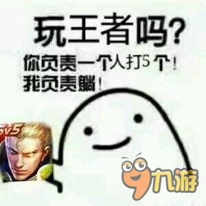 王者荣耀斗图表情包第二十五期 霸者级别辅助