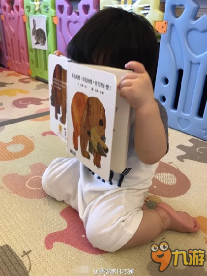 【娱乐】林志颖儿子爱看书,不过书是这么看的