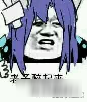 王者荣耀斗图表情包第十二期 辣眼睛的一期