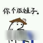 王者荣耀斗图表情包第十二期 辣眼睛的一期