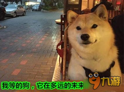 皇室战争每周小皇文：《皇室战争》喊你相亲啦！