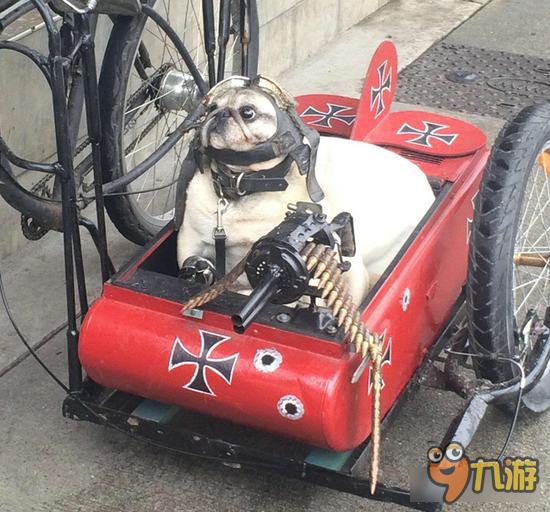 坦克连：《为啥那么囧》第十期 一不小心掉进万丈深渊