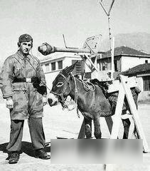 坦克连：《为啥那么囧》第十一期 令人瞎想的造型