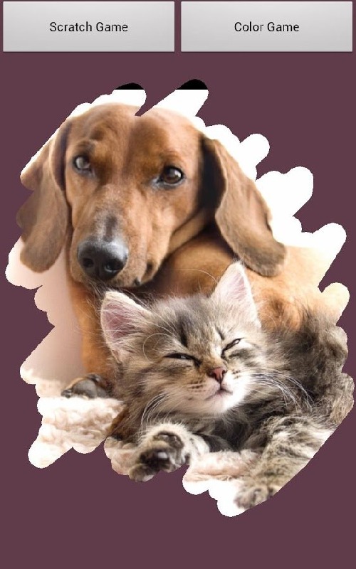 pet animals scratch game free