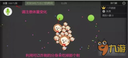 《球球大作战》16分身炸刺快速变大技巧分享