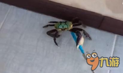 螃蟹要成精试图逃命还拿把刀 御龙在天手游逃命感想