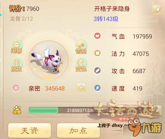 大话西游手游平民血宠之王是谁 有图有真相