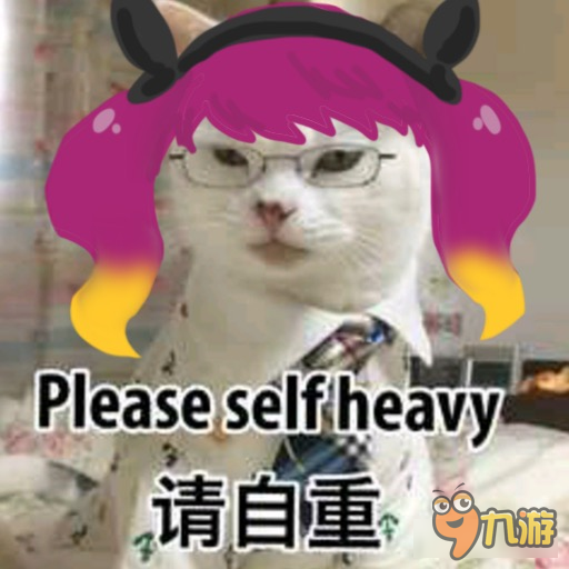 王者荣耀斗图表情包第九十一期 人家超想哭的