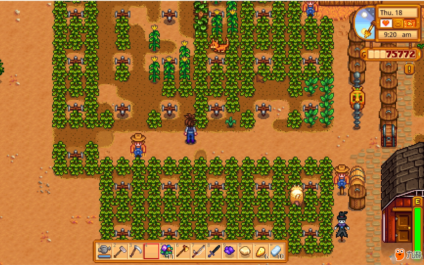 星露谷物语夏天杨桃种植方法 星露谷物语夏天