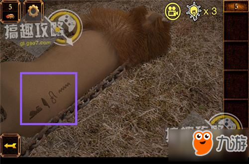 密室逃脱11第5关攻略 密室逃脱11第5关怎么过