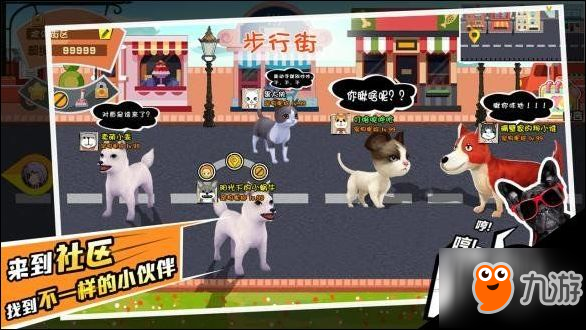 宠物天团招财猫怎么养 招财猫培养攻略