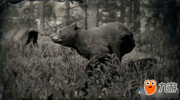 《荒野大镖客2》美洲黑熊怎么样 生物图鉴一览