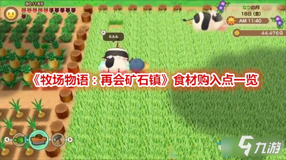 牧场物语再会矿石镇食材购入点有哪些食材购入点介绍