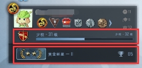 csgo軍銜等級介紹 csgo軍銜等級