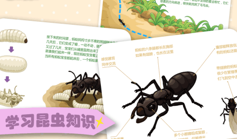 蚂蚁截图3