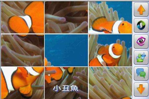 益智魚類拼圖截圖2