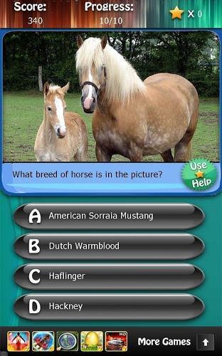 Horse Breeds and Pony Quiz HD截图4