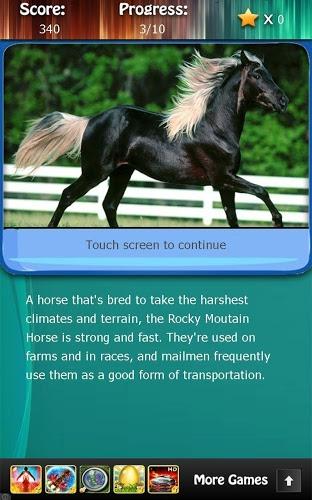 Horse Breeds and Pony Quiz HD截图3