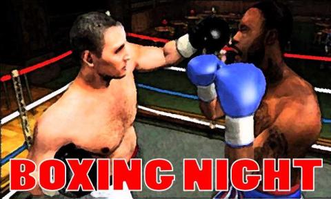 Boxing Night 3D截图3