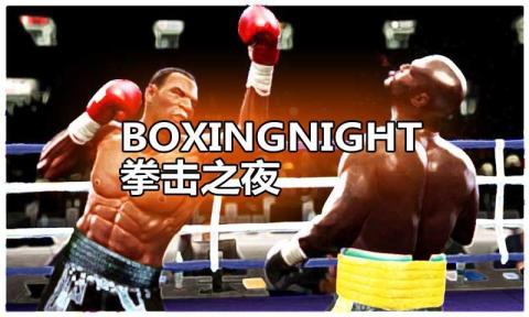 Boxing Night 3D截图1