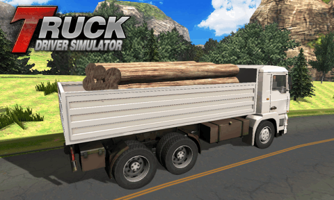 Truck Driver Simulator截图4