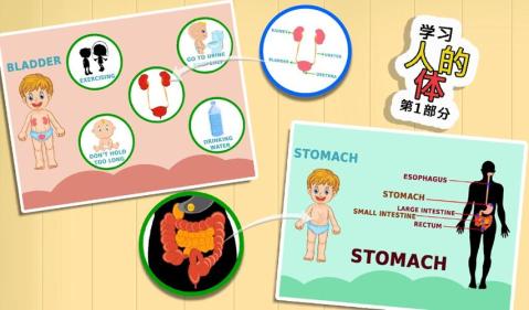 學習人體部分1V1.0.0截圖