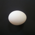 鸡蛋截图