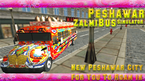 Peshawar Zalmi Bus Simulator截圖5