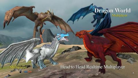 Dragon Multiplayer 3D截图5