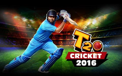 T20 Cricket 2012截圖1