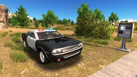 Police Car Driving Offroad截图5