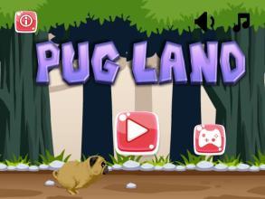 Pug Land- Dog Game截图5