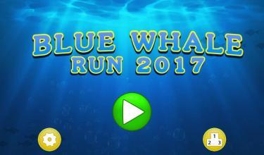 Blue Whale Run 2017截图4