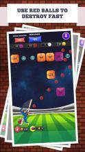 Block Cricket截图2