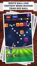 Block Cricket截图