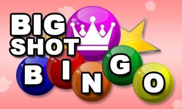 Big Shot Bingo截图5