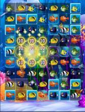 Life Fishdom New截图5