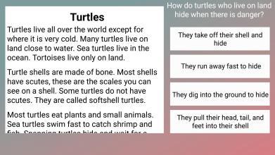 3rd Grade Reading Challenge截圖2