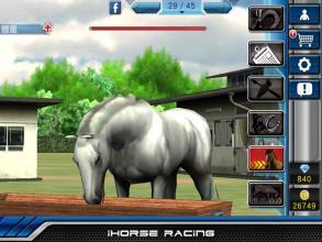 iHorse Racing ENG: free horse racing game截图5