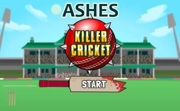 Ashes Killer Cricket截图1