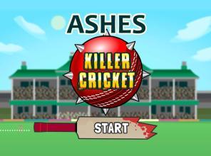 Ashes Killer Cricket截图